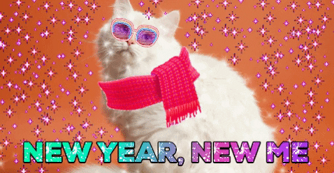 New year, new me cat gif.