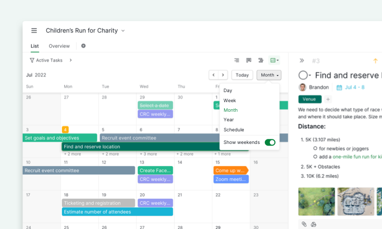 month view in calendar view