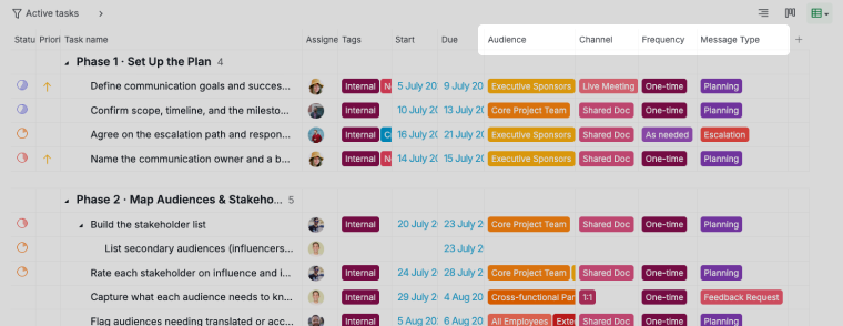 table view of the communication plan with audience, channel, frequency and message type columns