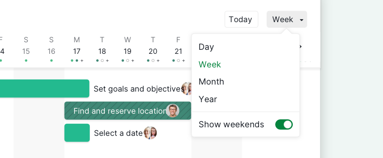 date scales in timeline view