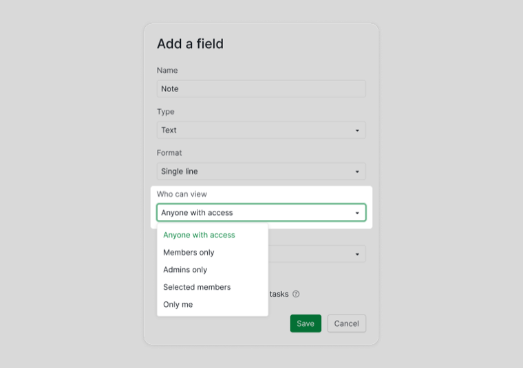 Who can view options in the custom field dialog